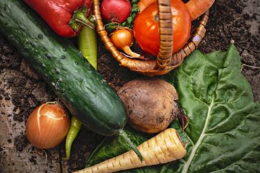 野菜の栄養価は下がっている？栄養価を下げない野菜の摂り方