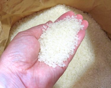 米の保存方法は冷蔵庫がおすすめ。米を入れる密封容器や保存場所