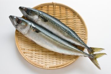 冷凍した食品の保存期間【魚編】保存方法とコツ・解答方法を解説